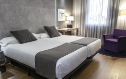 Hotel Zenit Conde de Orgaz