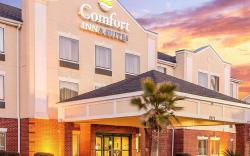 Comfort Inn & Suites Statesboro - University Area