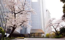 The Capitol Hotel Tokyu