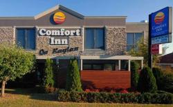 Comfort Inn On Raglan