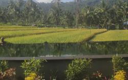 Amartya Puri Green Cottages