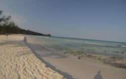 Coconutbeach Bungalows