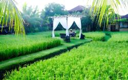 Bebek Tepi Sawah Villa And Spa