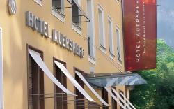 Hotel & Villa Auersperg