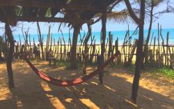 Beach Hut