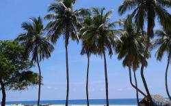 Naval Beach Rest Inn                                                                            