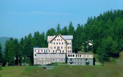 Hotel Waldhaus am See