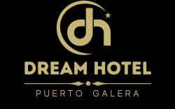 Dream Hotel