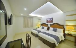 METRO VIGAN INN
