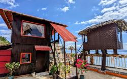 MDF Beach Resort and Day Tours near Whalesharks
