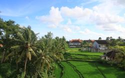 Villa Ubud Sunshine