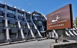 Rembrandt Premium FujiGotemba