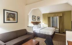 Quality Inn & Suites West Chase