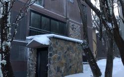 KABUKI MT BULLER