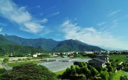 Xie Tong Bed and Breakfast