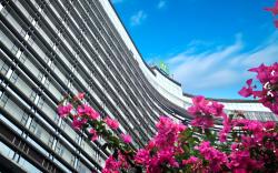 Holiday Inn Chengdu Century City-WestTower By IHG