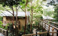 Izukogen Shirogasaki Onsen Hanafubuki
