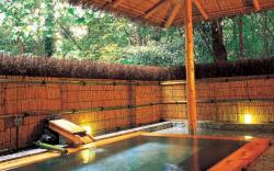 Izukogen Shirogasaki Onsen Hanafubuki