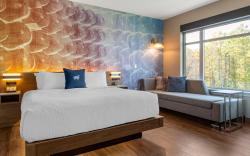 Cambria Hotel Manchester South Windsor