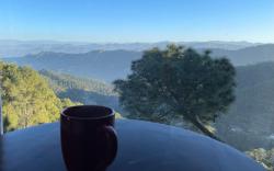 Pine Crest West Menage - Abode in nature's bounty