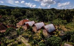 Temeling Jungle Inn