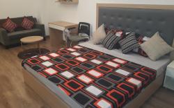 Fully Furnished Palm Studio at Expressway Noida