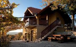 Vineyard cottage Brodaric