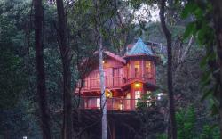Coorg Tree House