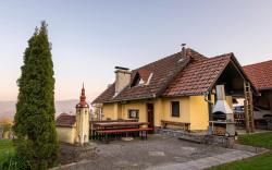 Vineyard cottage Hocevar