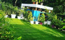 Forest Inn Homestay
