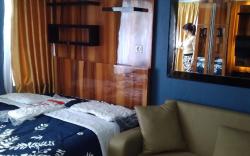 Jarrdin apartement green lux studio view plaza 