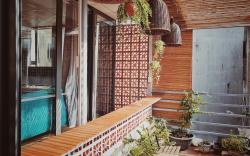 Sunny Room - Plant Yard/ Netflix