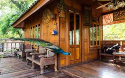 Thai Woodhouse - Peacock Room