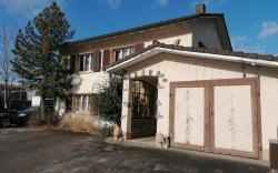 Amazing Villa at Lucerne City