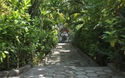 Scuba Tribe Bali Standard Room