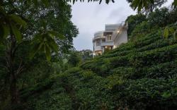 Cocoon Valley with Plantation View and Breakfast at Vagamon