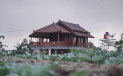 Jawa Dwipa Villa Wonosobo