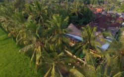 Nature & Relax, 1 BR, rice fields view