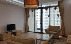 Dolphin Plaza Mydinh Hanoi 3 Br nearby Kengnam