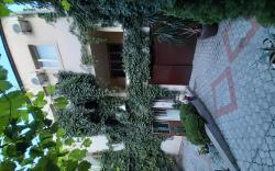 Comfortable house, with perfect garden