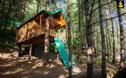 Family Treehouse, LivingStone Ojuven