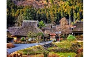 【日本旅之行】天橋立智恩寺&遊覽船&傘松公園+美山茅屋之里 一日遊