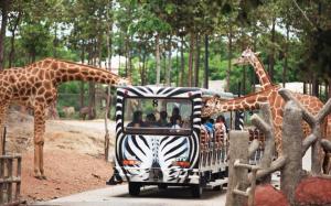 泰國-清邁夜間動物園門票Chiang Mai Night Safari