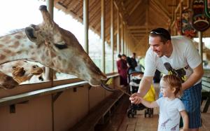 泰國-曼谷塞福瑞野生動物園門票 Safari World Ticket