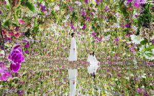 日本-東京豐洲新型態美術館 teamLab Planets TOKYO 門票