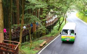 嘉義-低碳暢遊| 阿里山國家森林遊樂區門票&電動遊園車(沼平與香林線)| 國人限定