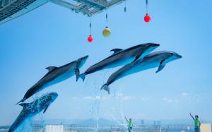 福岡 MARINE WORLD 海之中道水族館| 需提前預約