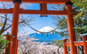 東京富士山一日遊| 淺間金鳥居大門&忍野八海&日川時計店&河口湖大石公園&河口湖| 多語言導覽| 1人成團