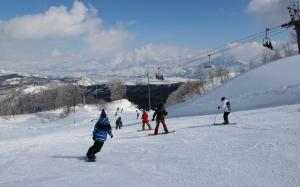 日本新潟-上越國際滑雪場|  2天1夜 雙板滑雪&單板滑雪巴士遊(入住期間無限次滑雪&提供裝備租借)| 池袋出發