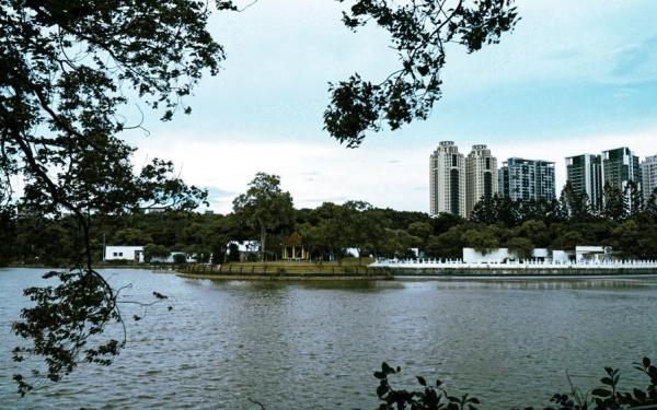 Jingxin Lake